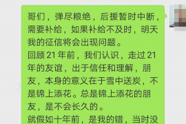 阿拉善阿拉善的要账公司在催收过程中的策略和技巧有哪些？